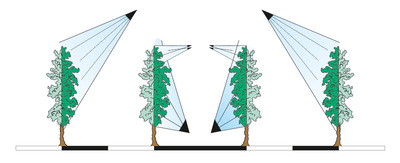 AZIONE-DELLA-TESTATA-SULLE-PIANTE-TCI.4M2C-e-TCIS