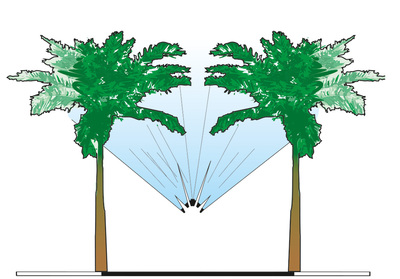 azione-piante-Getto-Cannone-Verticale-Palme-TGCV2+2