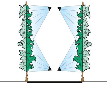 azione-piante-Testata-2-Mani-inferiori-2-Mani-superiori-TC2M2M.jpg