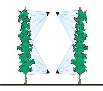 azione-piante-Testata-2-Mani-inferiori-2-Mani-superiori-TC2M2M_b.jpg