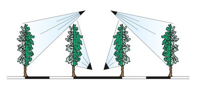 azione-piante-Testata-2-Ventagli-a-3-Settori-TCS.2M2C.jpg