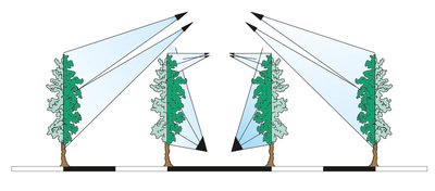 azione-piante-Testata-4-Mani-4-Cannoni-TC4M4C.jpg