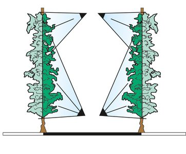 azione-piante-Testata-4-Mani-T4M.jpg