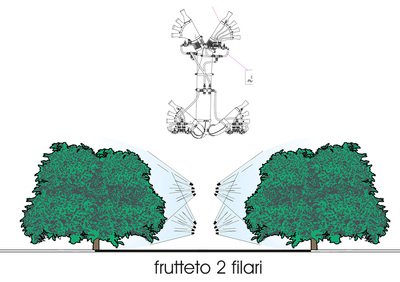 azione-piante-Testata-4-Olivo-T4OL.jpg