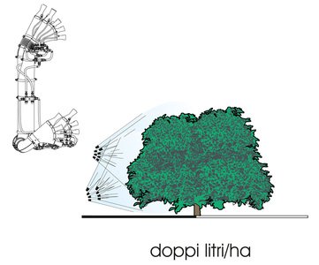 azione-piante-Testata-4-Olivo-T4OL_b.jpg