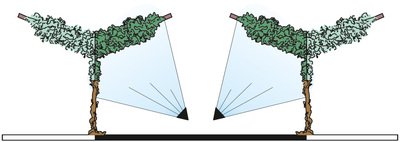azione-piante-Testata-4+4-Diffusori-T4+4_b.jpg