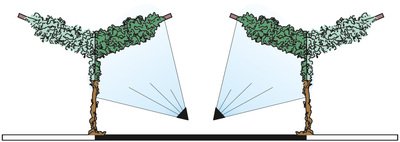 azione-piante-Testata-4+4-Diffusori-T4+4_b.jpg