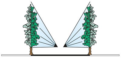 azione-piante-Testata-4+4-Diffusori-T4+4_c.jpg