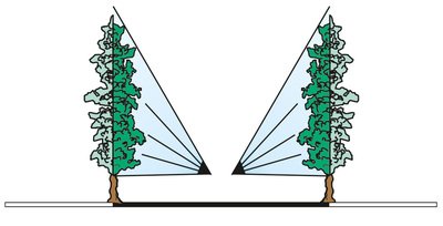 azione-piante-Testata-4+4-Diffusori-T4+4_c.jpg