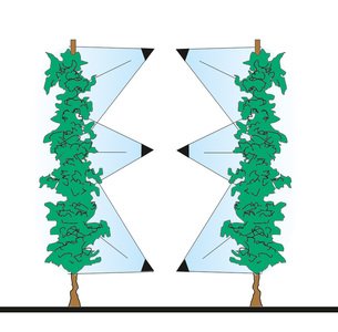 azione-piante-Testata-6-mani-a-2-diffusori-T6M2D_b.jpg