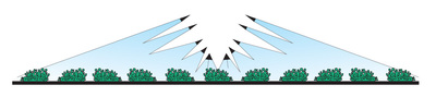 azione-piante-Testata-Patate-TPT