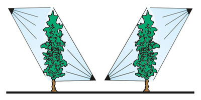 azione-piante-Testata-Ripiegabile-idraulica-2-Mani-2-ManiTCF2M2M (1)