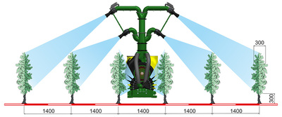 azione-piante-Testata-Savoia-4-Cannoni-TC.SAV4C