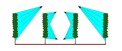 azione-testata-sulle-piante-TC4M2C